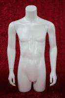 M�nnertorso wei� gl�nzend
