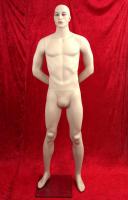 Male Mannequin Skin-Coloured