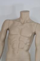 M�nnliche Schaufensterpuppe headless haut