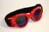 Motorcycle Goggles Red, Rainbow-Tinted Lenses