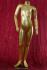 Schaufensterpuppe kind gold headless