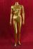 Golden Female Mannequin, Headless