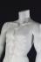 Male Mannequin, headless