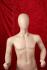 Male skin window dummy faceless