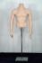 Male Torso skin