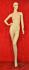 Weibliche Schaufensterfigur / Mannequin
