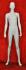 Special Offer: Femal Mannequin, Shining White