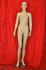 Beautiful Mannequin, Female