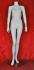Weibliche Schaufensterfigur wei� headless
