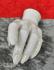 Left hand of a female window mannequin