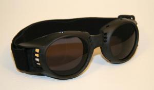 Glacier Sun Glasses Black with Smoke-Tinted Lenses