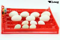 Legehorde mit Wendemotorsystem  fr Inkubator, Brutkasten geeignet fr verschiedene Eiergren, Gnse, Wachtel, Hhner