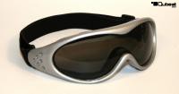 Skibrille / Snowboardbrille silber, Gl�ser get�nt Smoke