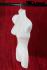 5 Half Female Torsos White