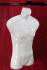5 men torso, white