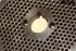 6 mm die spare part for 2.2 KW/220V motor and 7.5HP gasoline engine