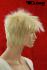 Blonde Kurzhaarpercke