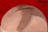 Blonde, lange, handgekn�pfte Echthaarper�cke f�r Damen aus Indian Remy Hair