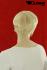 Blonde Percke, kurzhaar