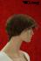 Braune Kurzhaarpercke mit Highlights