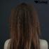 Braune Langhaarpercke mit Locken