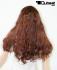 Braune Langhaarpercke mit Pony