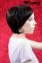 Brown sleek short hair wig