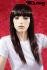 Darkbrown longhair wig with bangs