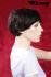 Darkbrown short hair wig
