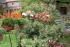 Edelstahlkugel rostfrei  7,5cm, Stab mit Gewinde Dekoration Garten