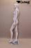 Elegant Female Mannequin