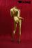 Elegant Mannequin Gold Headless