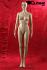 Elegant Robust Female Mannequin