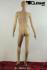 Elegant window mannequin, faceless