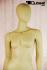 Female Mannequin faceless skin