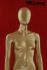 Female Mannequin, Gold, Faceless