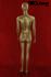 Female Mannequin, Gold, Faceless