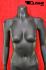 Female Mannequin, headless