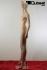 Female Mannequin, skin, very natural