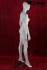Female mannequin, white shining