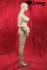 Female Mannequin