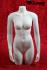 Female mannequins, torso, white