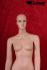 Female skin colour window dummy