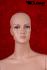 Female skin colour window dummy