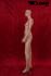 Female skin colour window dummy