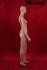 Female skin colour window dummy