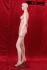 Female skin colour window mannequin