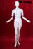 Female window dummy, movable arms, white shining