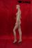 Female window dummy, skin coloured