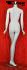 Female window mannequin, headless, white